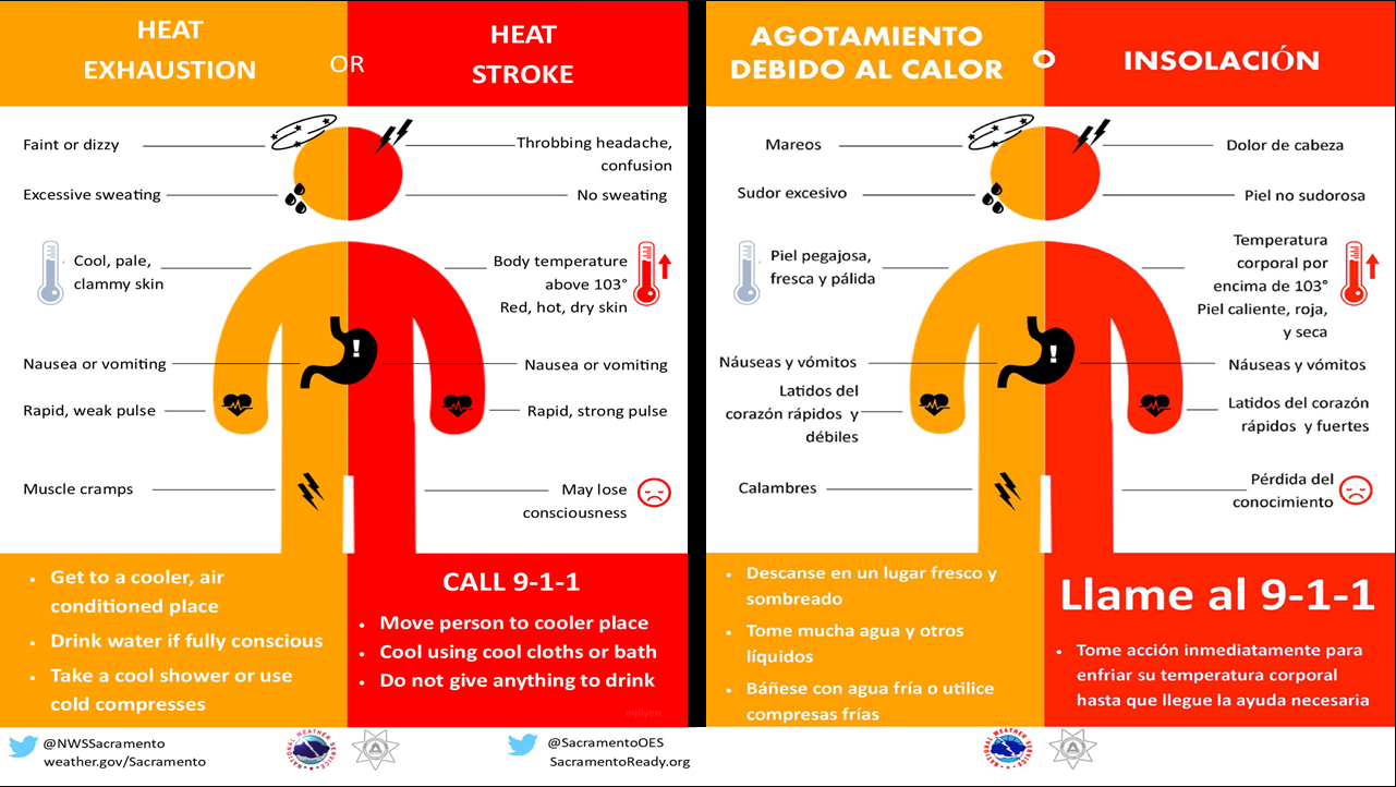 UFCW 3000 (2022) Heat Symptoms Graphic